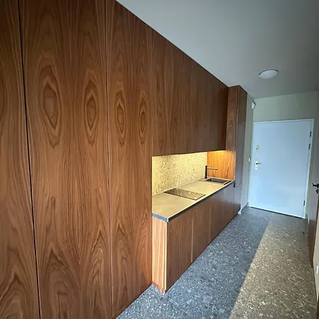 Luxury City Center In Angel Stradom Near Wavel Castle *